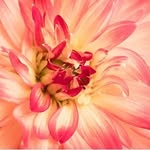 Barb Kellogg Photography - @barb_kellogg - Instagram