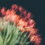 Barb Kellogg Photography - Abstract - @barb_kellogg_abstract - Instagram