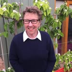 Barb Kelly - @barbkellystories - Instagram