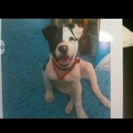 Barb Kelley - @barb.kelley.90 - Instagram