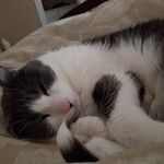 Barb Kelley - @barb.kelley.733 - Instagram