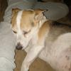 Barb Kelley - @barb.kelley - TikTok