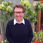 Barb Kelly - @barbkellystories - Instagram