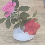 Barb Kemp - @bairfootpotter - Instagram