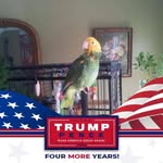 Barb Kemp - @barb.kemp.10 - Instagram
