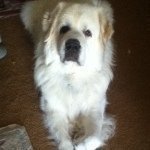 Barb Kendall - @framer3 - Instagram
