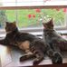Barb Kendall - Facebook