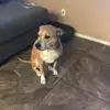 Kendall - @kendallxbarb - TikTok