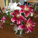Barb Kenney - @barb_kenney - Instagram