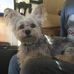 Barbara Kenyon - Facebook
