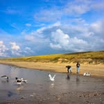 barb kerr - @barbkerr4 - Instagram