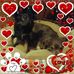 Barb Kidd - Facebook