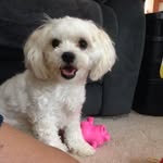 Barb Kirk - @barb.kirk.357 - Instagram