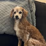 Barb Kirk - @barbkirk23 - Instagram