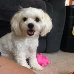 Barb Kirk - Facebook