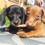 Barb Kirkpatrick Olson - @barbkirkpatrick69 - Instagram