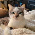 Barb Kirkwood - Facebook