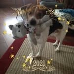 @barbk_irk - Instagram
