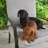 barbkirkpatrickol - @barbkirkpatrickol - TikTok
