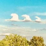 Barb Hederman Knapp - @arbknapp - Instagram