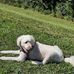 Barb Knepper - Facebook