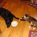 Barb Knight - Facebook