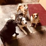 Barb Knight - @barb.knight.984 - Instagram