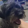 Bailey Bub - @barbera_knott - TikTok