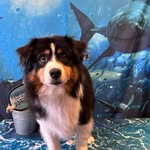 Barb Knotts - @barbknotts - Instagram