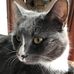 Barb Knowles - Facebook