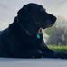 Barbara Knudsen Score - Facebook