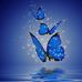 Barb Koch - Facebook