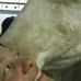Barb Koch - Facebook