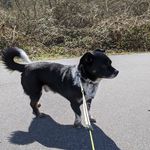 Barb Koch - @barbkoch65 - Instagram