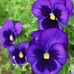Barb Koch - Facebook
