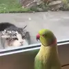 Barbara Koehler - @barbarakoehler0 - TikTok