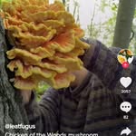 Barb Koeller - @koeller.barbara - Instagram