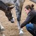 Barbara Kohl - Facebook