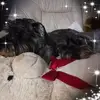 barbarakolb1964 - @barbarakolb1964 - TikTok