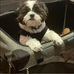 Barb Koss - Facebook