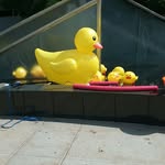 Barb Kramer - @barbk9974 - Instagram