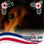 Barb Kramer Davis - @bdavis825 - Instagram