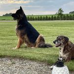 Barb Kronlokken - @barbkronlokken - Instagram