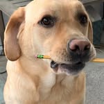 Barb Krueger - @barbkrueger8338 - Instagram