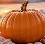 Barb Krueger - Facebook