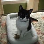 Barb Krueger MacLean - @macleanbarb - Instagram