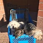 Barb Kunz - @barb.kunz.100 - Instagram