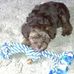 Barb Kunze - Facebook