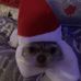Barb Shelley Lacey - Facebook
