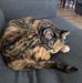 Barbara Leever-Kuhns - Facebook